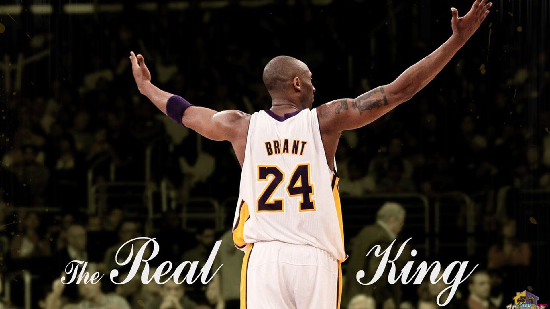 乐鱼体育官网下载-AC米兰签入新中场，希望重现辉煌，终于有钱了! 主帅续约新援补强的ac米兰热闹重建中